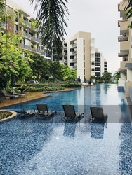 Palm Isles (D17), Condominium #182102992